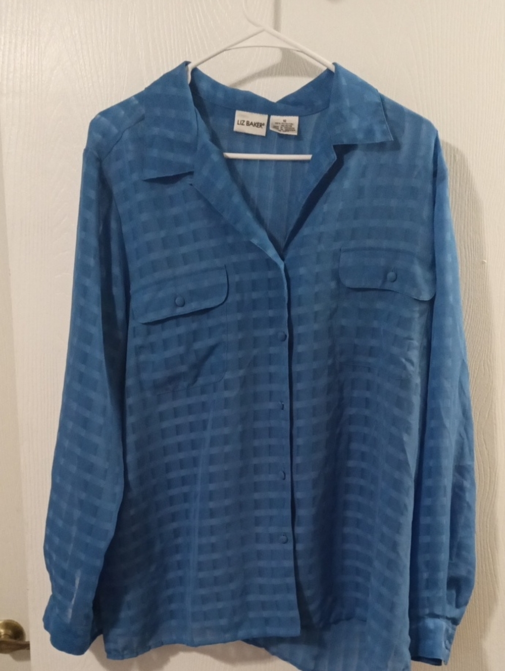Liz Baker Men's Blue Check Button-Down Shirt